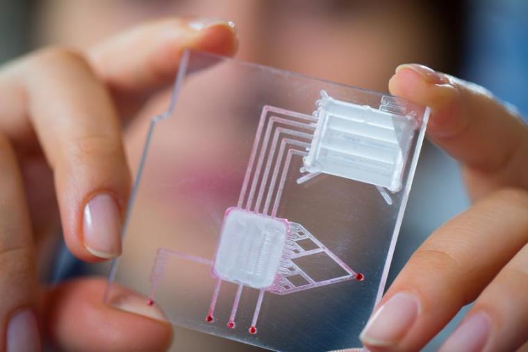 Woman holding up a microfluidic chip