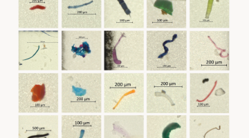 Photo of Sheng Chang's Research