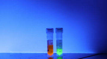 Two test tubes of DNA lit up fluorescent orange and green. 