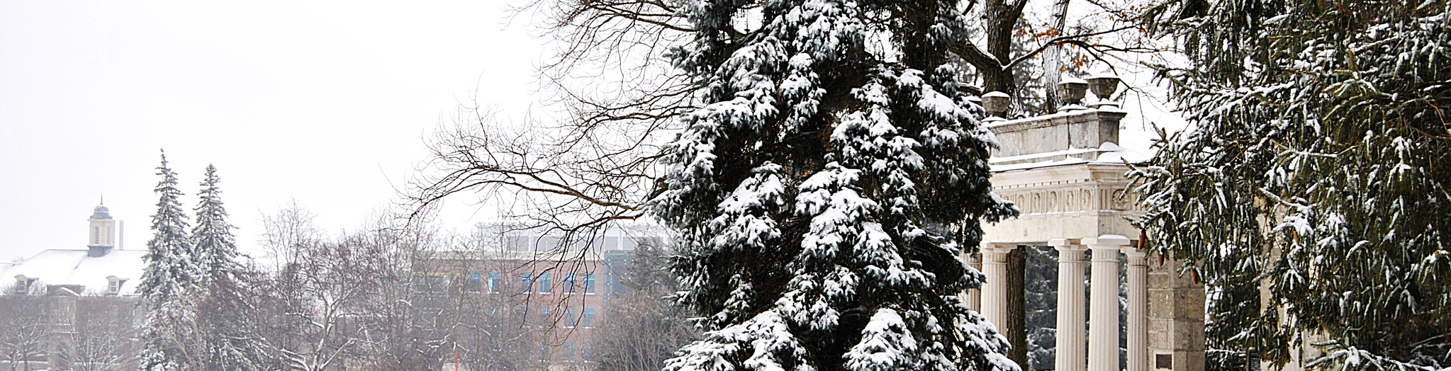 U of G campus image of stone structure with large pine trees surrounding. A blanket of snow covers everything.