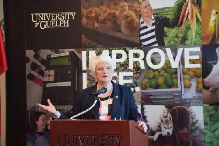 Liz Sandals, MPP for Guelph.