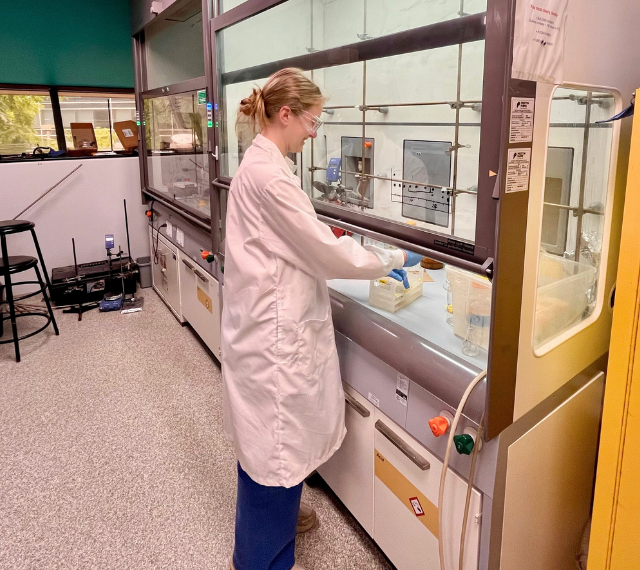 Lucie wears a white lab coat while she works in a fumehood.
