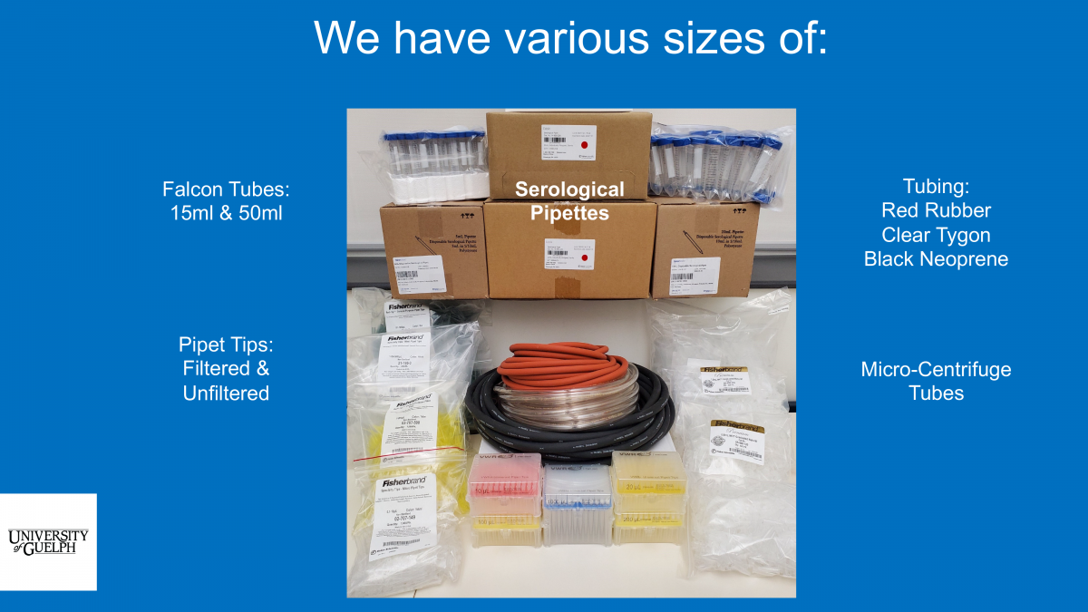 A collection of falcon tubes, red rubber tubing, tygon tubing, black neoprene tubing, pipette tips (including filtered and unfiltered), and micro-centrifuge tubes.