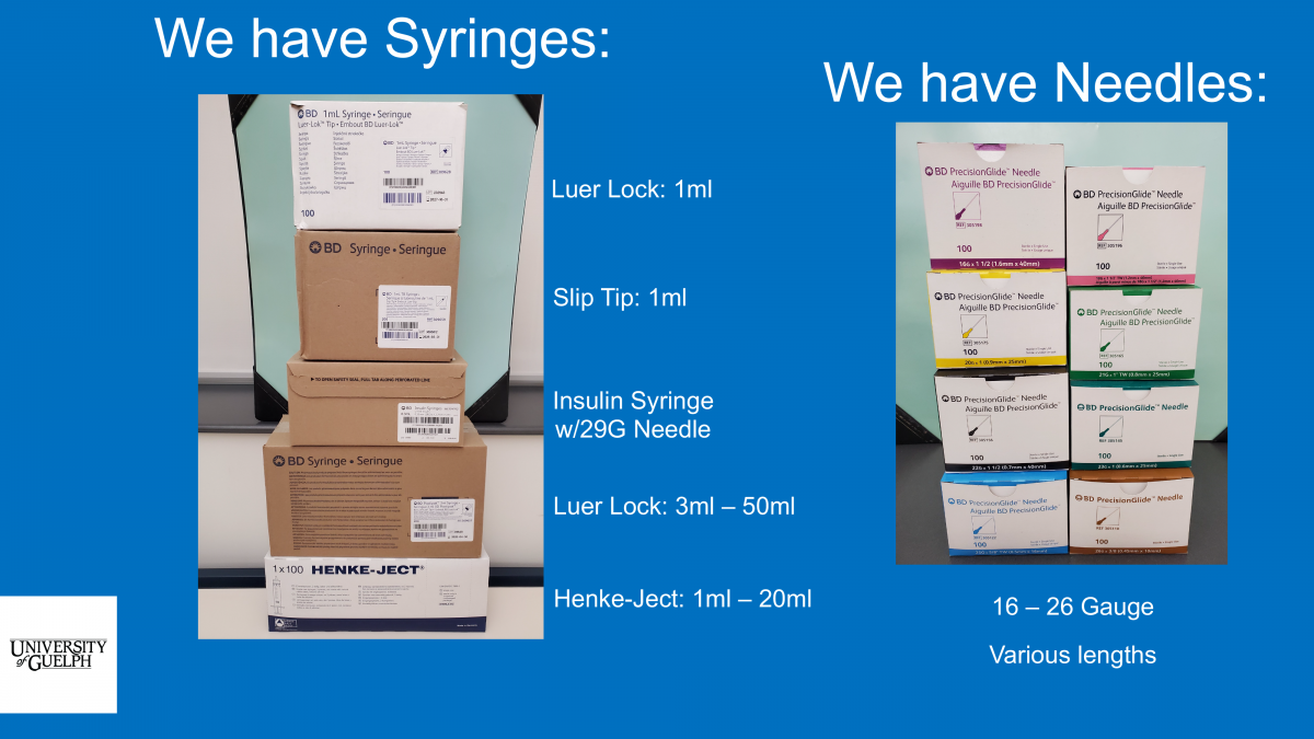 A collection of various syringes and needles including 1 mL luer lock syringes, 1 mL slip tip syringes, insulin syringe with 29G needle, 3 – 50 mL luer lock syringes, 1 – 20 mL Henke-Ject syringes, and 16-26 gauge needles in various lengths.