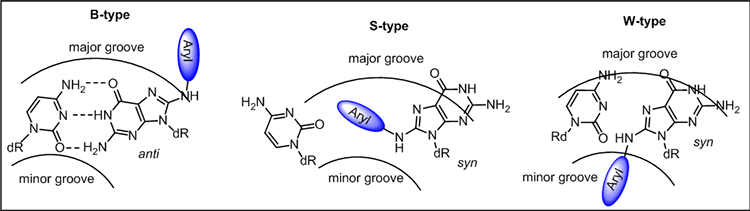 For N-linked adducts, three common structural motifs in duplex DNA (i.e., the major-groove B-type, the intercalated base-displaced stacked S-type, or the minor-groove wedge W-type) have been characterized.