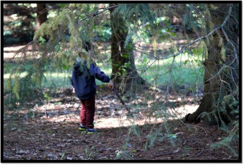 Child exploring in forest with stick