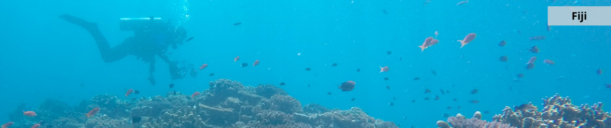 Fiji - scuba diving