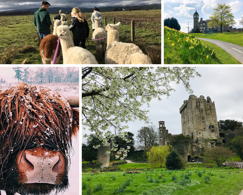 pictures from Jordan's travels while studying abroad