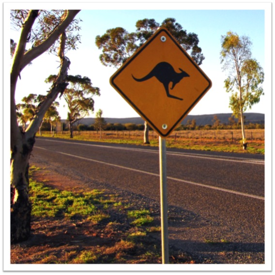 Street sign with Kangaroo