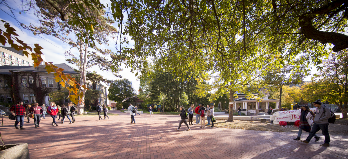 Campus on a fall day