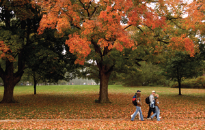 Landscape shot of Johnston Green in fall, with studetns walking along a path