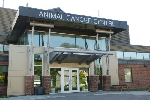 O.V.C. Animal Cancer Centre