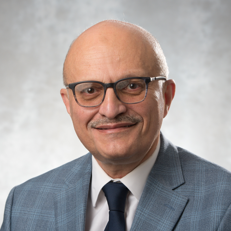 Hussein A. Abdullah, Ph.D., P.Eng.