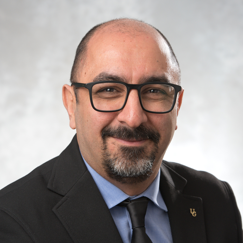 Amir A. Aliabadi, Ph.D., P.Eng.