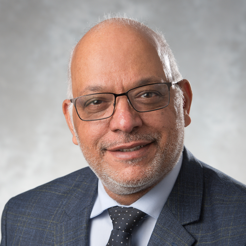 Marwan Hassan, Ph.D., P.Eng.