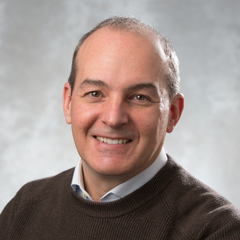 Stefano Gregori, Ph.D., P.Eng.