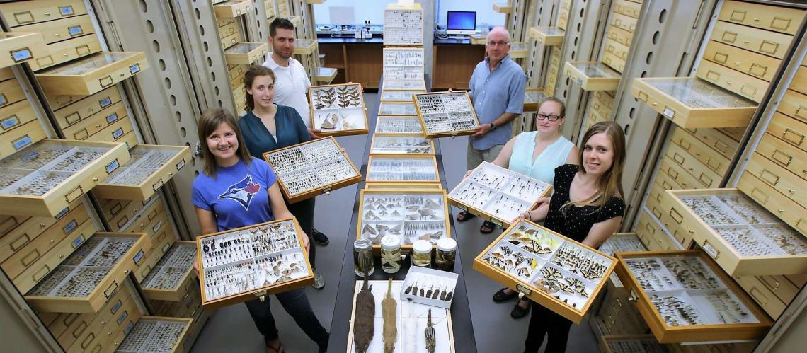 six people hold up trays of insect samples.