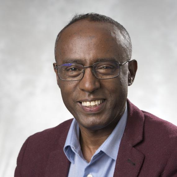 Fantahun M. Defersha, Ph.D., P.Eng.