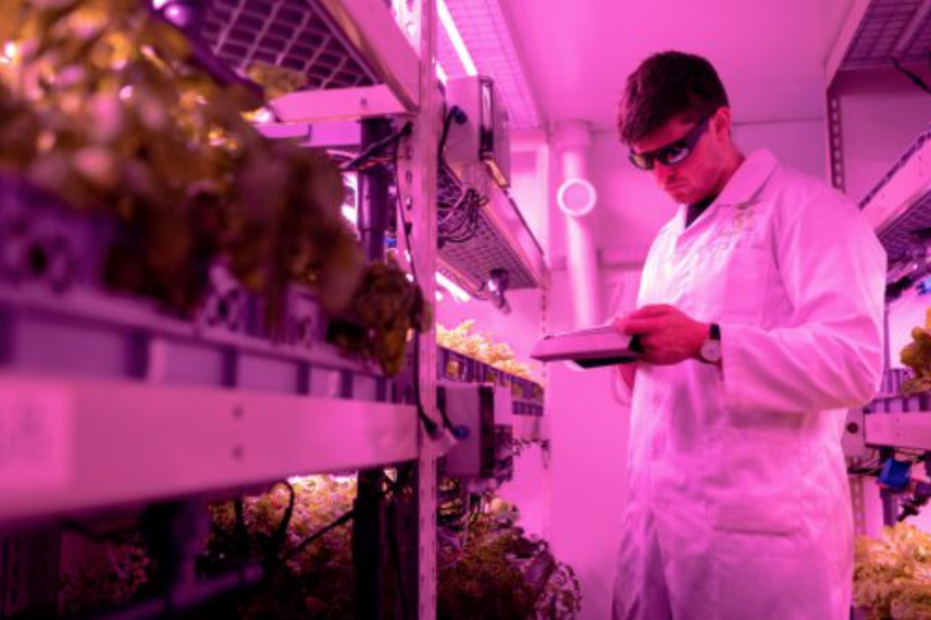 Man in lab coat checks a clip board next to a shelf of plants