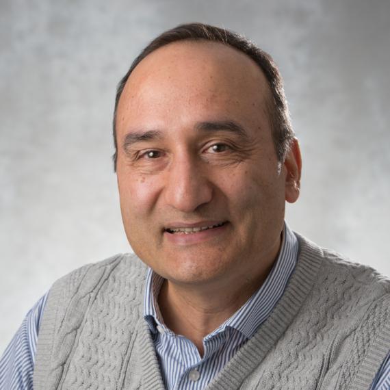 Bahram Gharabaghi, Ph.D., P.Eng.