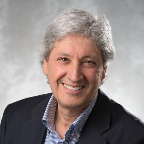 Shawki M. Areibi, PhD, P.Eng.