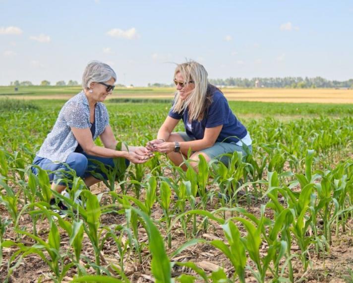 Two people bent down in a farming field.