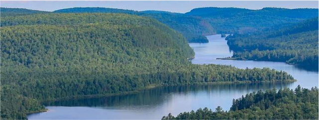 U of G Researcher Receives $ 1.65M to Support Innovative Training in Environmental Monitoring