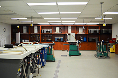 Fluid Mechanics Lab 2