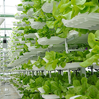 vertical farming