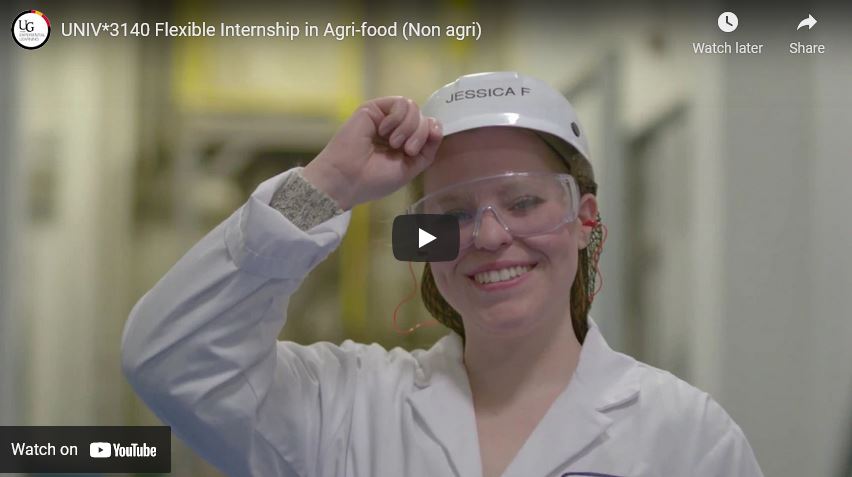 Watch the Flexible Internship Promotional Video on Youtube.