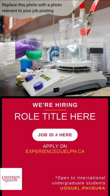 A photo of hands wearing purple gloves, doing an experiment. On top of the photo reads "Replace this photo with a photo relevant to your job posting". Below this, text in all caps reads "We're Hiring - Role Title Here". Below this, a white oval shape with red text reads "Job ID # Here". Below this, white and yellow text read "Apply on ExperienceGuelph.ca". A white University of Guelph logo is in the bottom left corner. In the bottom right, text reads "*Open to international undergraduate students. Uoguel.ph/isura."".
