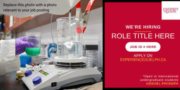 A photo of hands wearing purple gloves, doing an experiment. On top of the photo reads "Replace this photo with a photo relevant to your job posting". Beside this, text in all caps reads "We're Hiring - Role Title Here". Below this, a white oval shape with red text reads "Job ID # Here". Below this, white and yellow text read "Apply on ExperienceGuelph.ca". A white University of Guelph logo is in the top right corner. In the bottom right, text reads "*Open to international undergraduate students. Uoguel.ph/isura."".