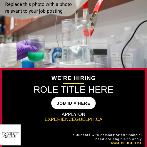 A photo of hands wearing purple gloves, doing an experiment. On top of the photo reads "Replace this photo with a photo relevant to your job posting". Below this, text in all caps reads "We're Hiring - Role Title Here". Below this, a white oval shape with black text reads "Job ID # Here". Below this, white and yellow text read "Apply on ExperienceGuelph.ca". A white University of Guelph logo is in the bottom left corner. In the bottom right, text reads "*Students with demonstrated financial need are eligible to apply uoguel.ph/ura".