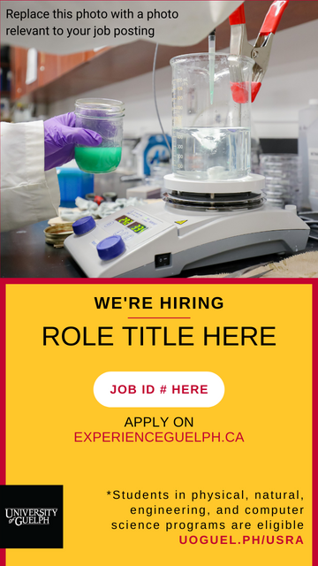 A photo of hands wearing purple gloves, doing an experiment. On top of the photo reads "Replace this photo with a photo relevant to your job posting". Below this, text in all caps reads "We're Hiring - Role Title Here". Below this, a white oval shape with red text reads "Job ID # Here". Below this, black and red text read "Apply on ExperienceGuelph.ca". A black University of Guelph logo is in the bottom left corner. In the bottom right, text reads "*Students in physical, natural, engineering, and computer science programs are eligible. uoguel.ph/usra."".