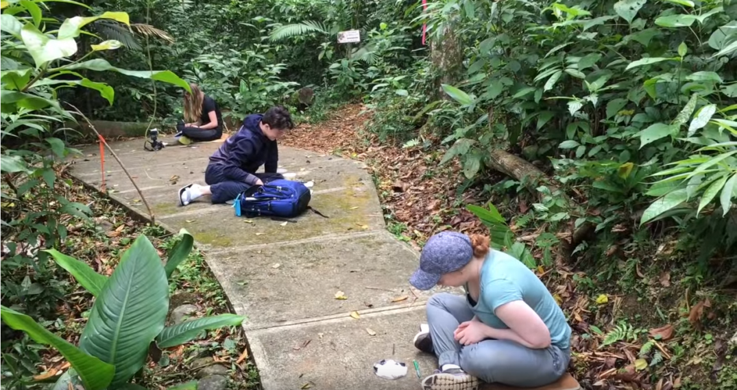 University Guelph students studying insects in Costa Rica as part of field course.