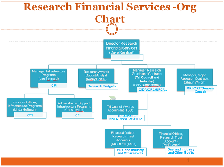 Financial Services Organizational Chart