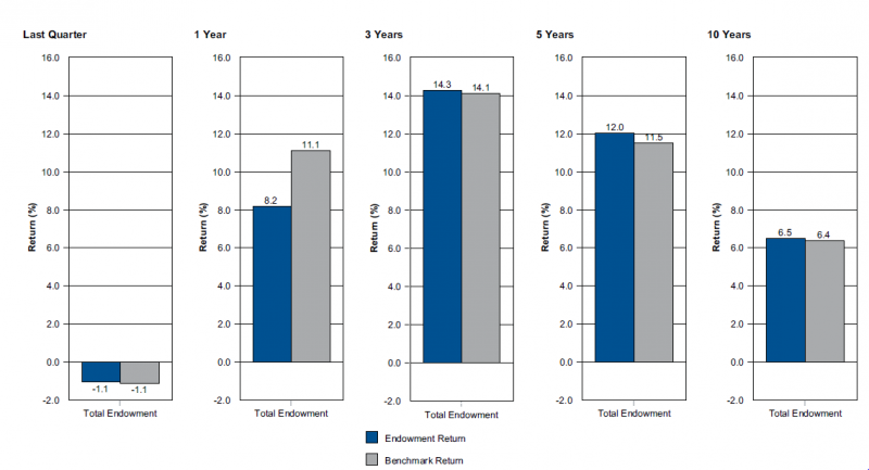 Vertical bar graph illustrating total endowment portfolio vs endowment policy benchmark as of June 30, 2015 gross of fees annualized for periods over one year. Last Quarter total endowment return negative 1.1% benchmark return negative 1.1%. One year total endowment return 8.2% benchmark return 11.1%. Three years total endowment return 14.3% benchmark return 14.1%. Five years total endowment return 12.0% benchmark return 11.5%. Ten years total endowment return 6.5% benchmark return 6.4%.