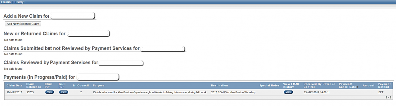 screenshot of expense claim form