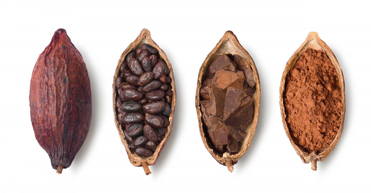 Cocoa pods