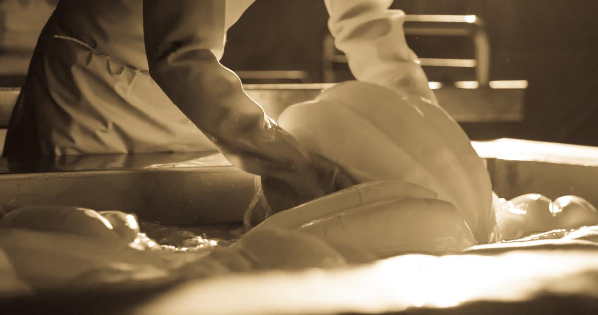 Sepia photograph of a person folding cheese in a vat