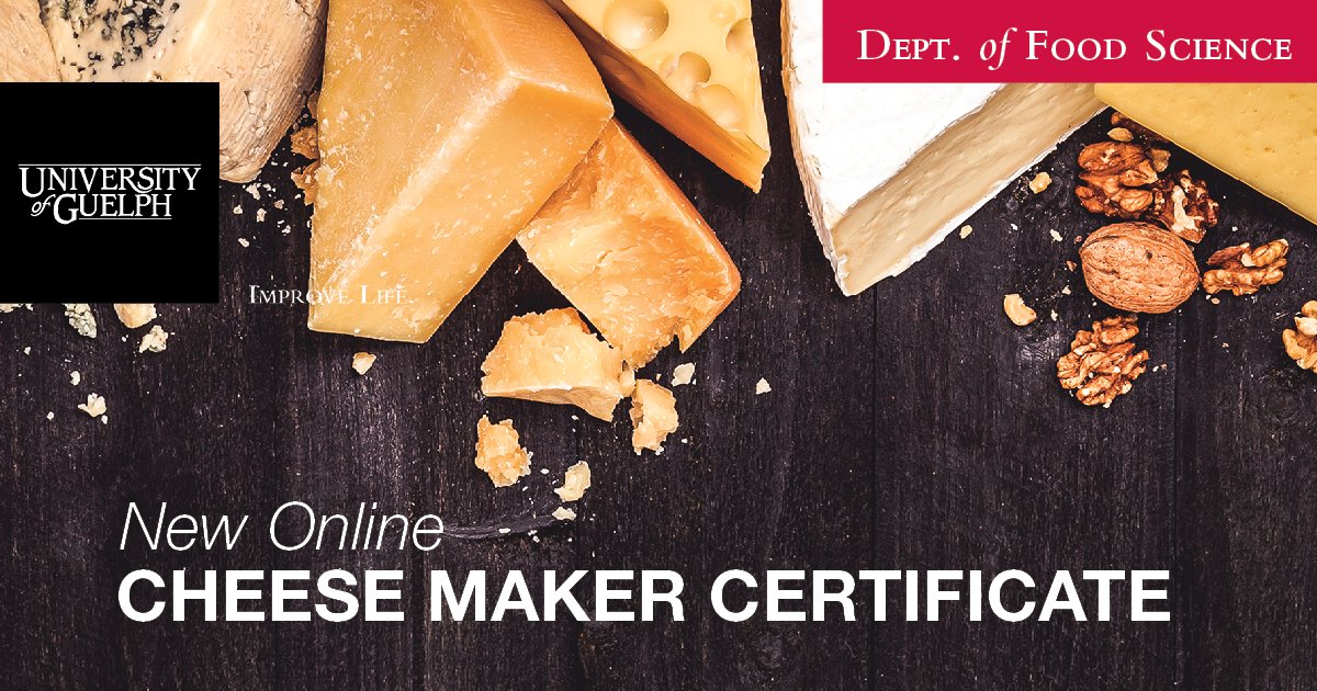 Various cheeses arranged on a slate board with the text "New Cheesemake certificate"