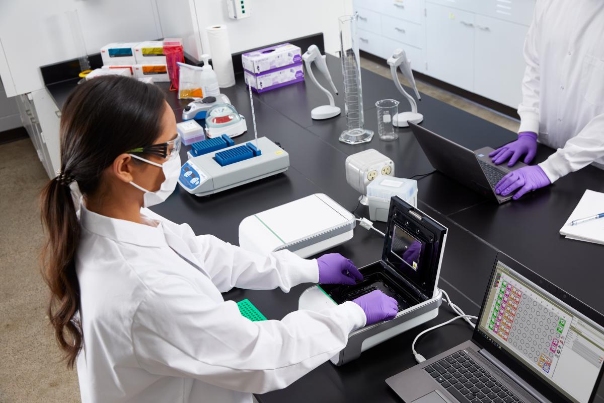 Technicians working in a lab