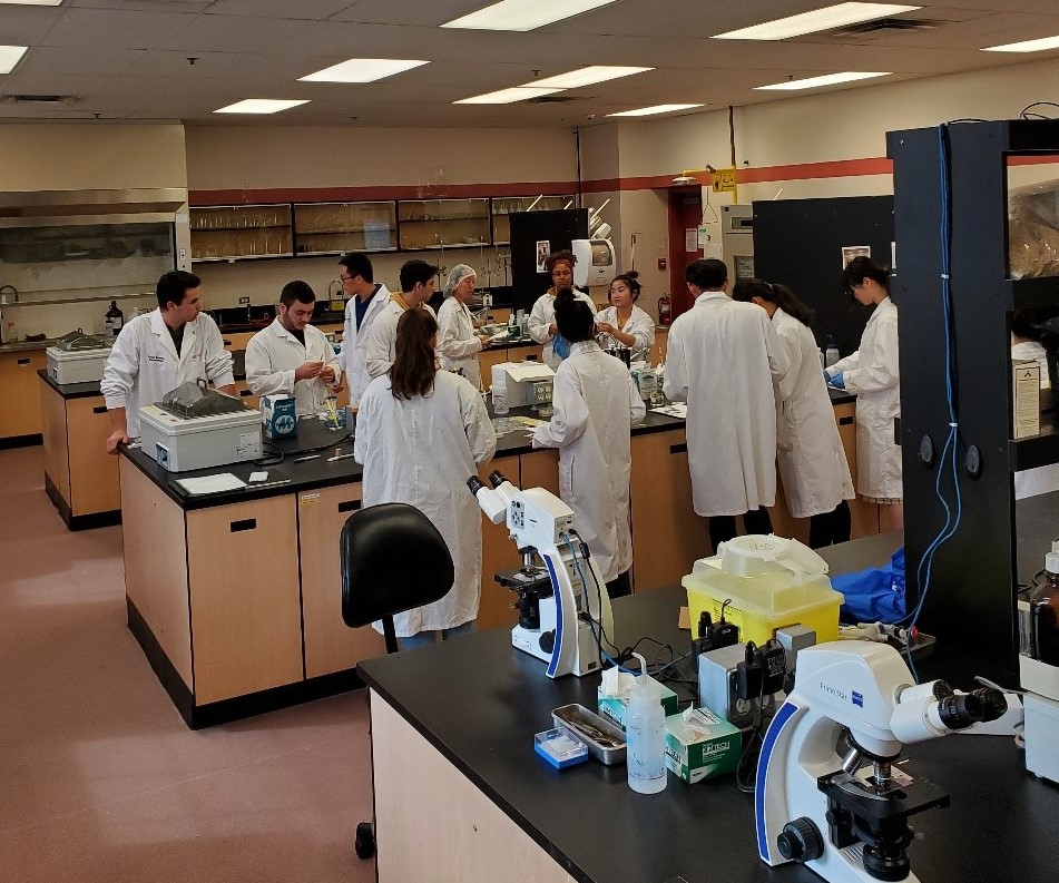 Food microbiology undergraduate lab