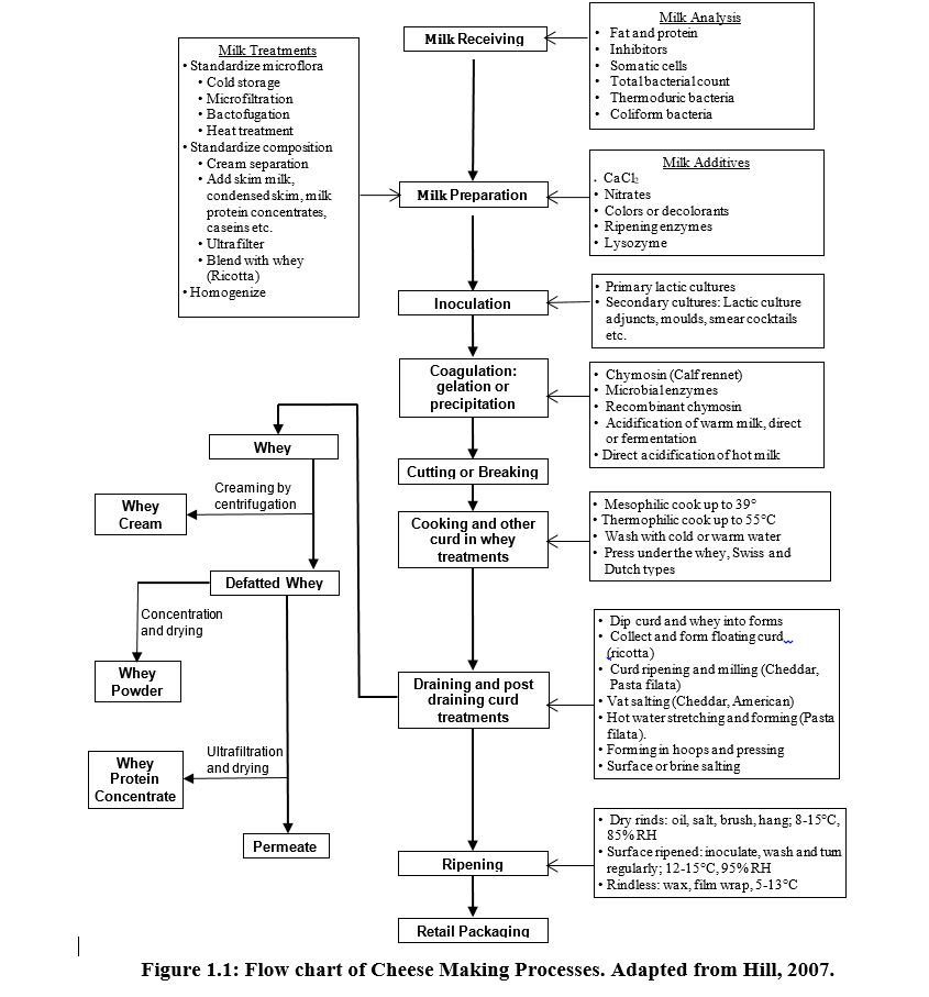 Whey Processing Flow Chart