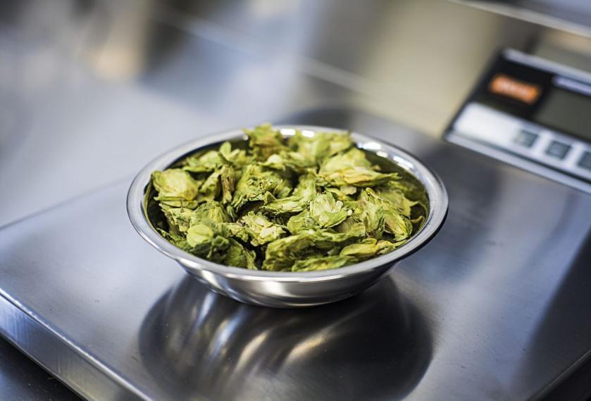 Small dish of hops
