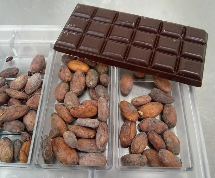 bean to bar chocolate