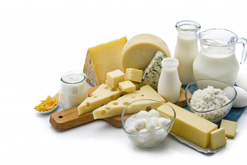 Selection of dairy and cheeses