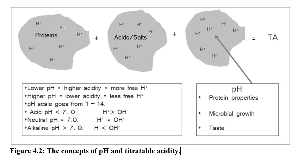 Lactic acid same as lactose