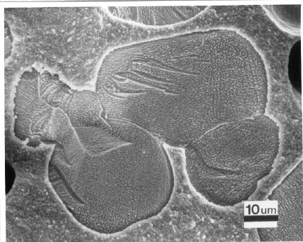 Image showing accretion, where crystals fuse as they grow.