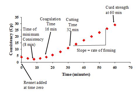 Enzymic Coagulation of Milk | Food Science